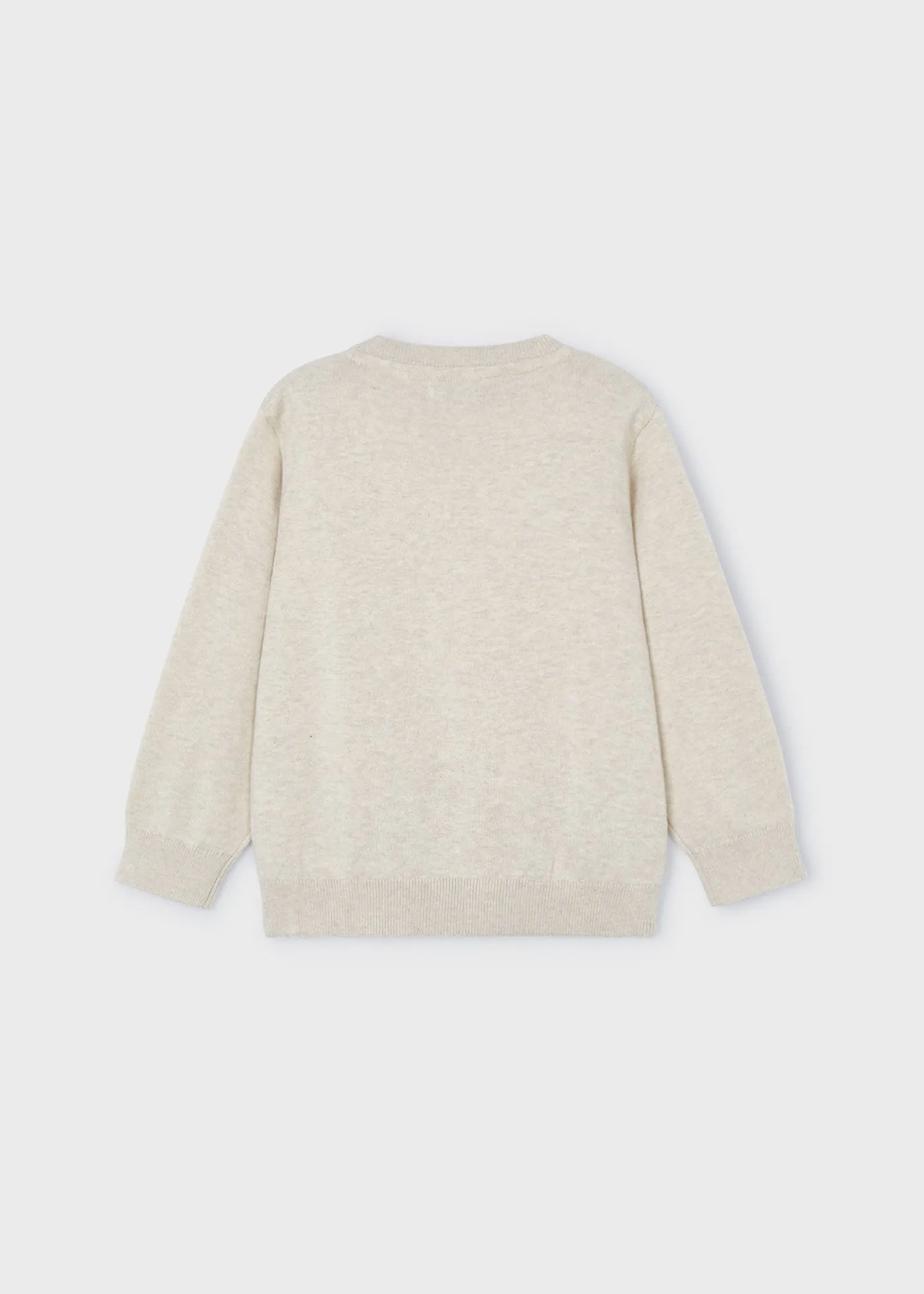 311 - Basic crew neck jumper for boy - Raffia