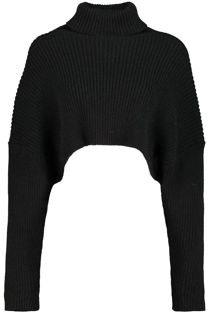 Bishop + Young HIghline Turtleneck Sweater