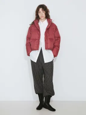 Cropped High Neck Down Coat