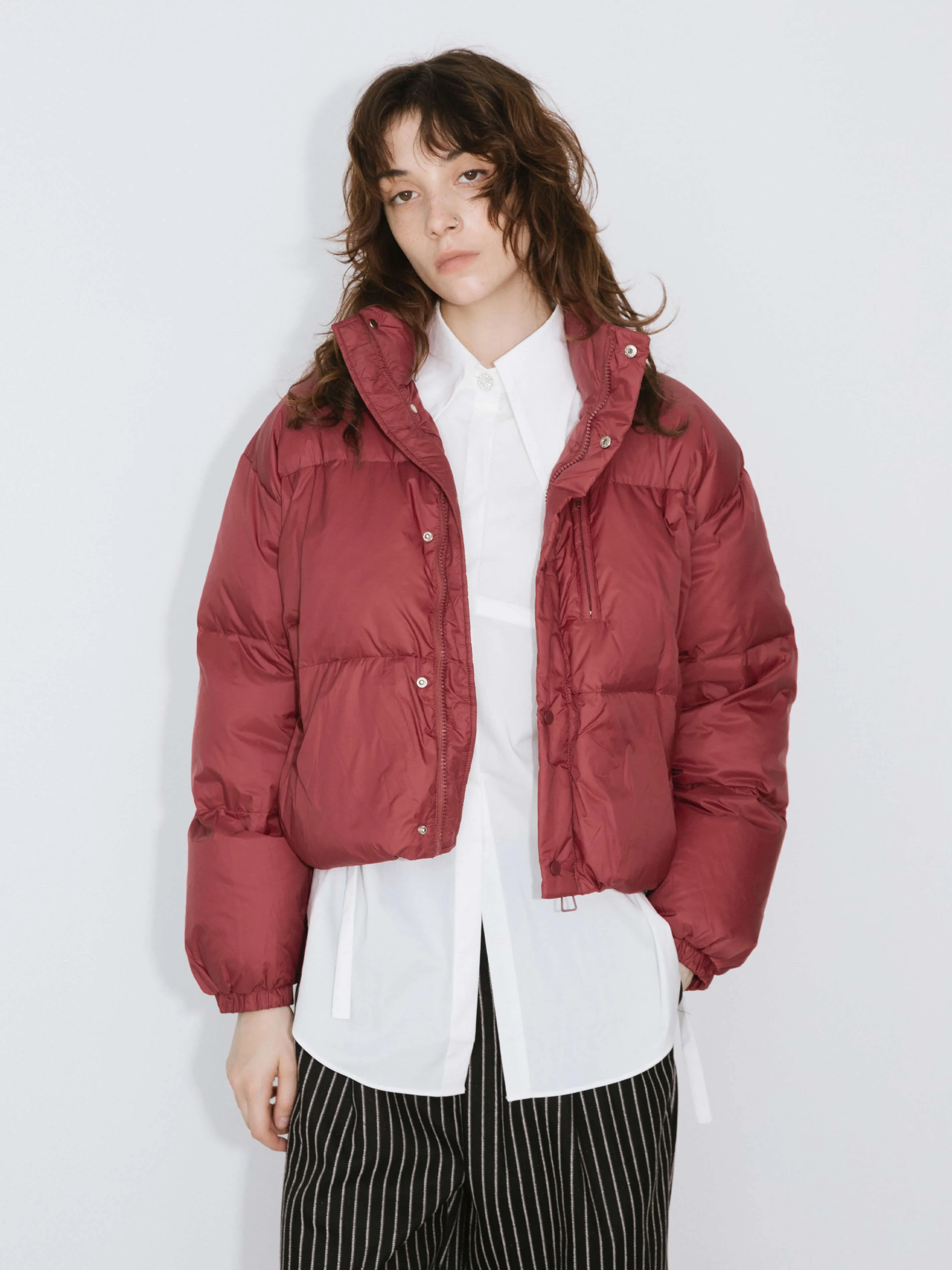 Cropped High Neck Down Coat