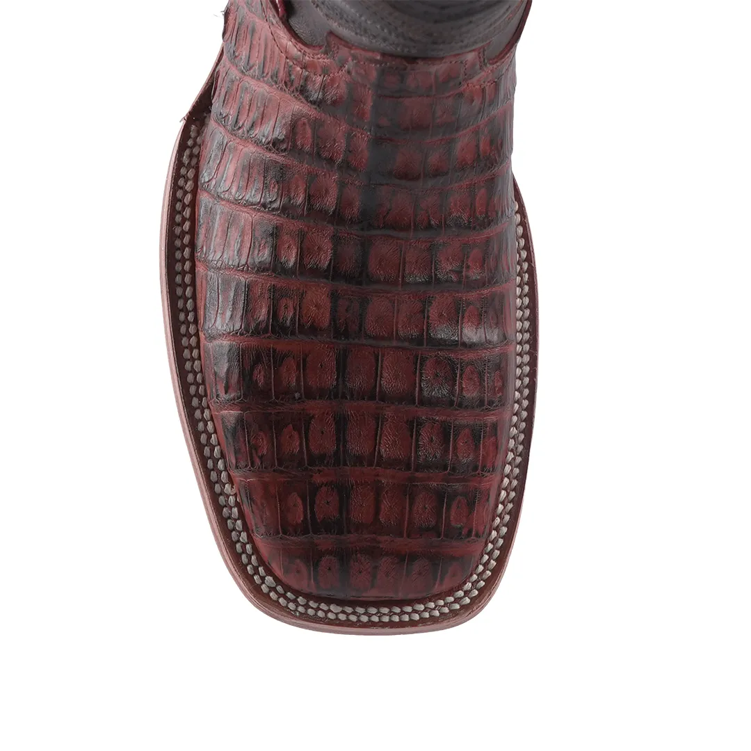 Texas Country Exotic Boot Cola Caiman Belly Brandy Muequeado LM10