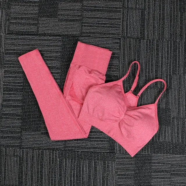 Women Seamless yoga set Fitness Sports Suits GYM Cloth